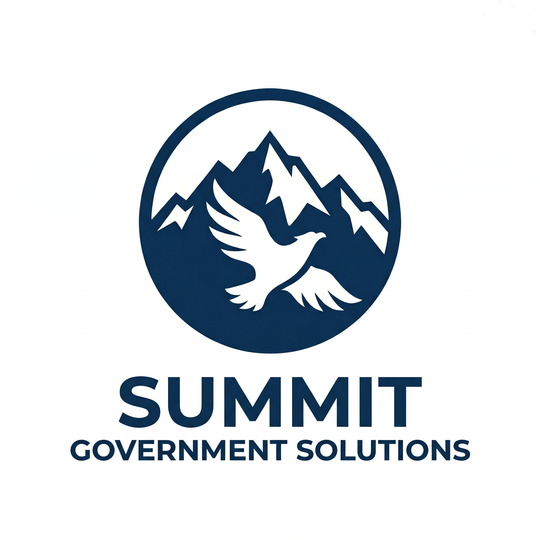 Summit Government Solutions